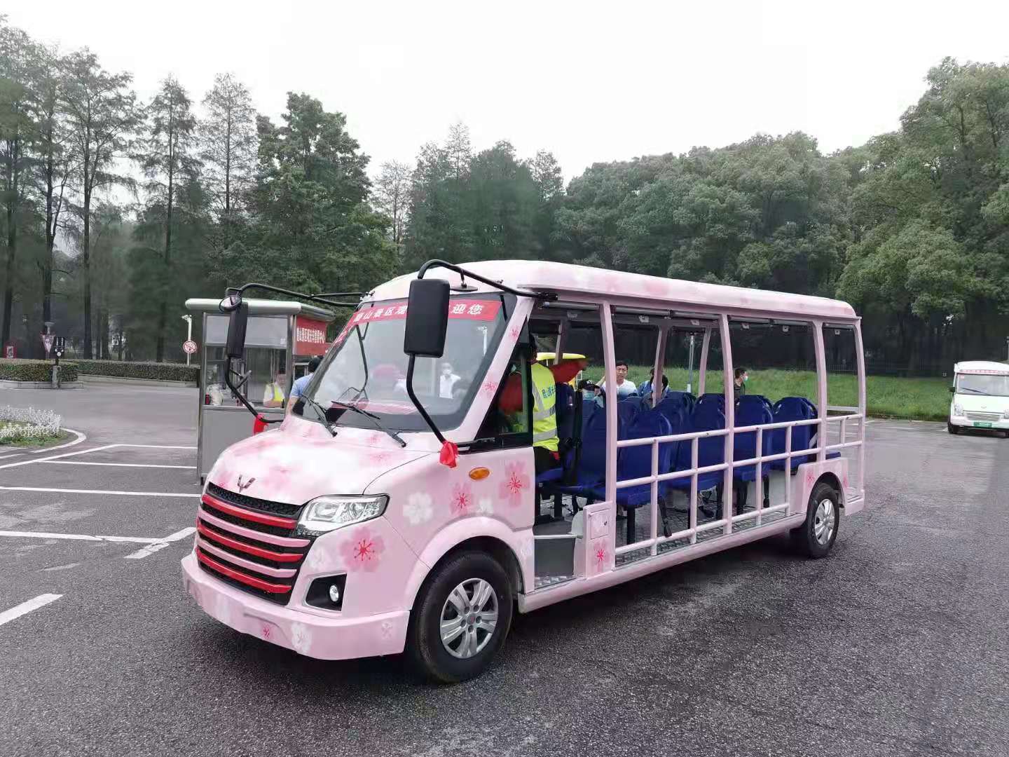 武汉樱花电动观光车