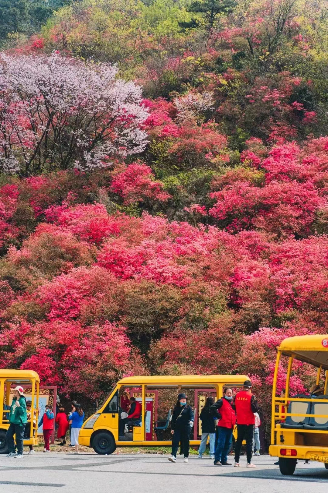 国庆小长假结束啦，正常接单中！