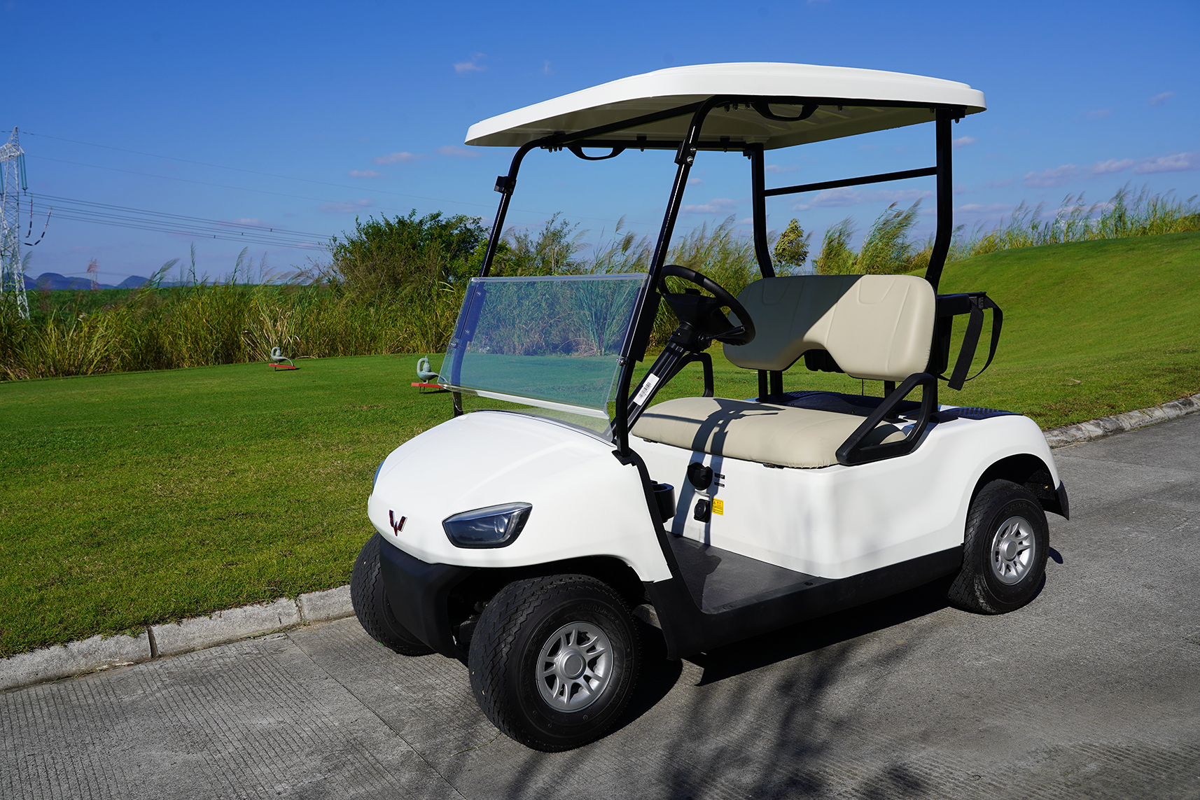 电动观光车可以适合家用吗