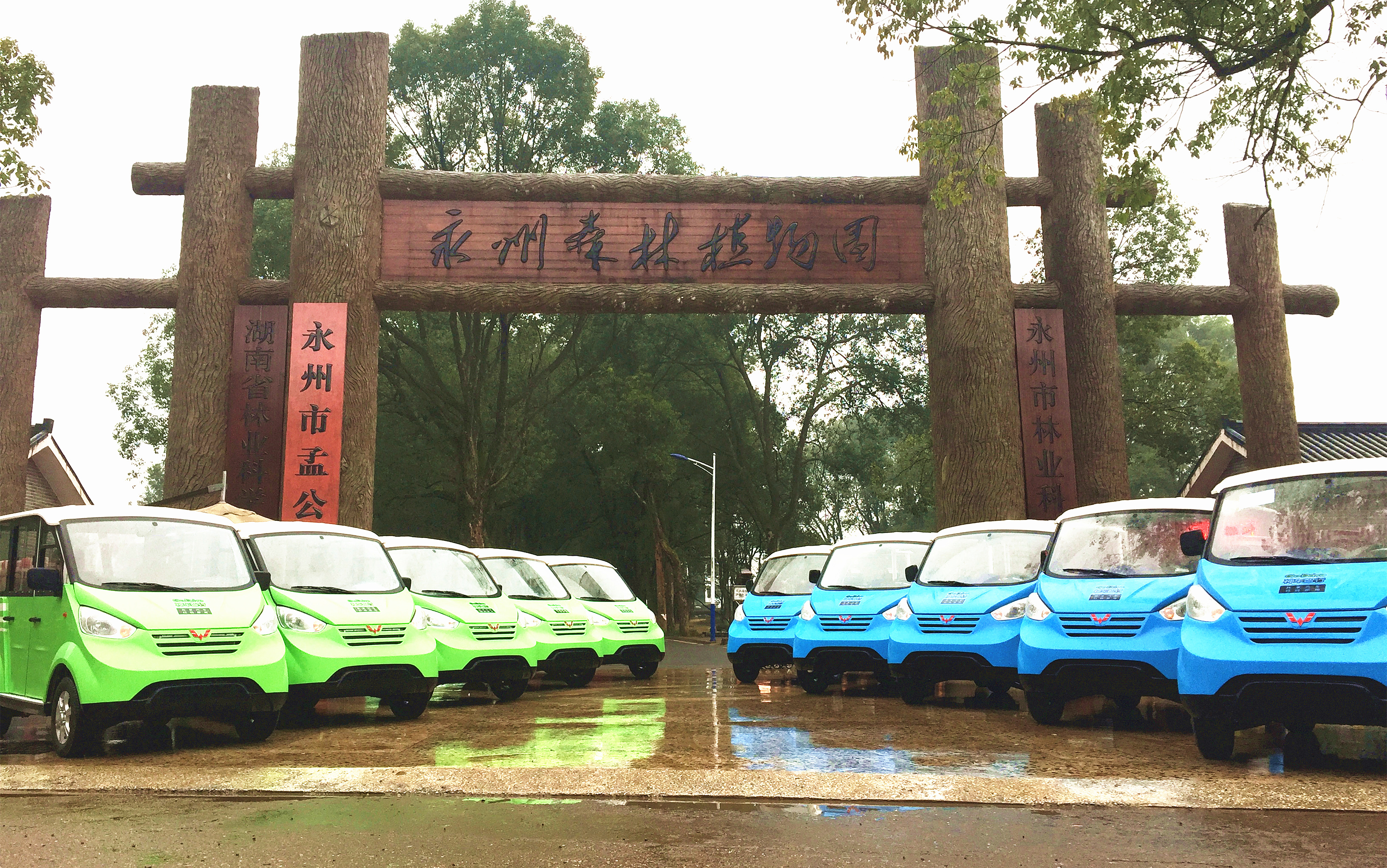 首批五菱M100共享电动观光车到达永州植物园开始试运营