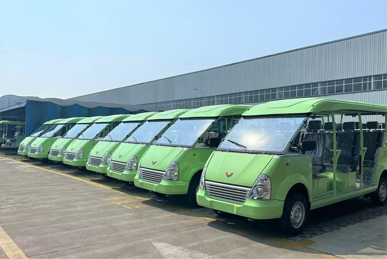 电动观光车交车案例