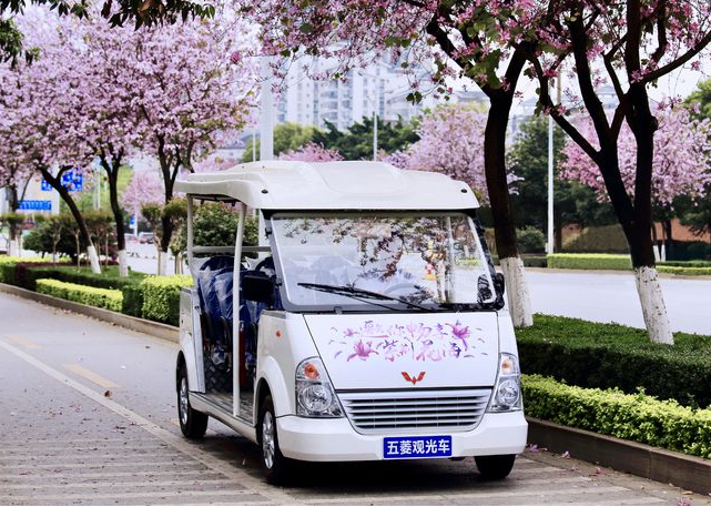 五菱电动观光车带你赏樱花