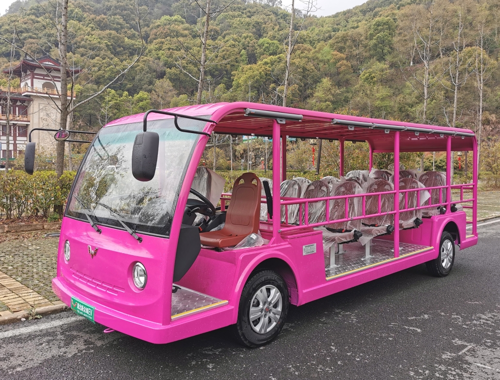 五菱燃油观光车交车案例