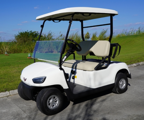 2座高尔夫球车-T200系列