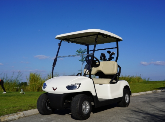 2座高尔夫球车-T200系列