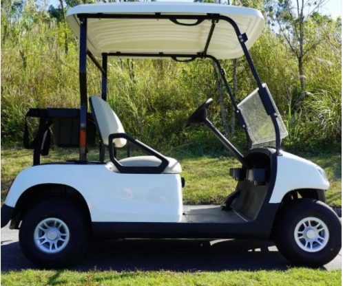 2座高尔夫球车-T200系列