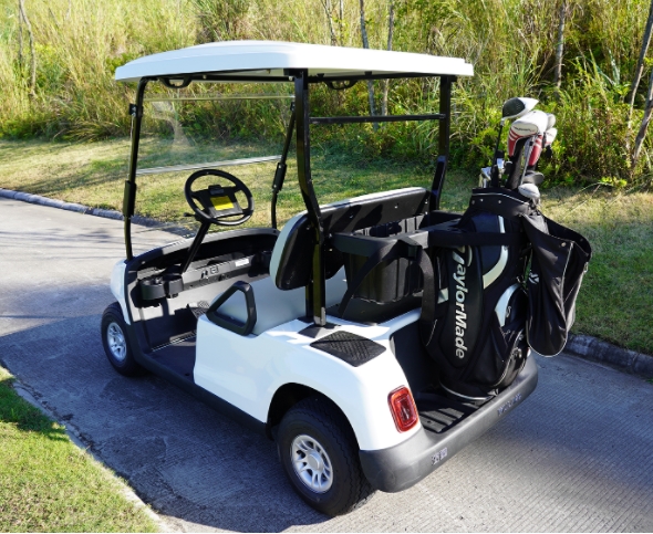 2座高尔夫球车-T200系列